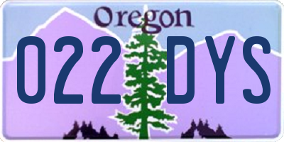 OR license plate 022DYS