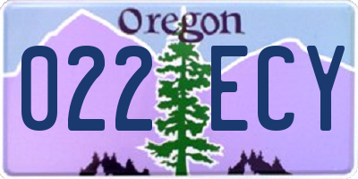 OR license plate 022ECY