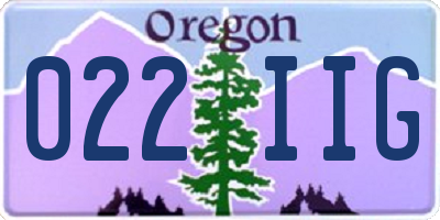 OR license plate 022IIG