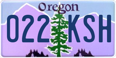 OR license plate 022KSH
