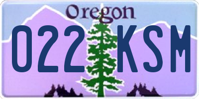 OR license plate 022KSM