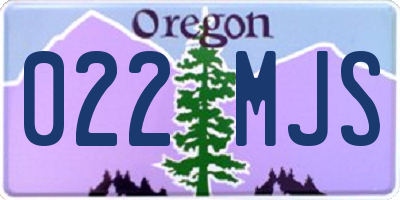 OR license plate 022MJS