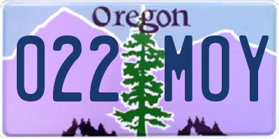 OR license plate 022MOY