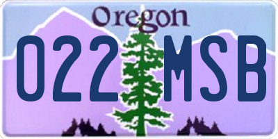 OR license plate 022MSB