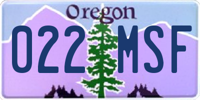 OR license plate 022MSF