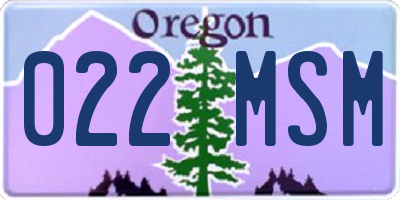 OR license plate 022MSM