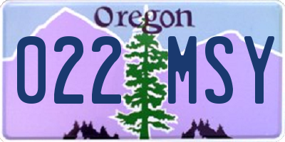 OR license plate 022MSY