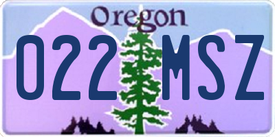 OR license plate 022MSZ