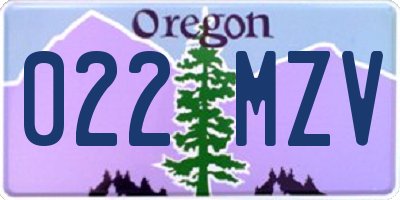 OR license plate 022MZV