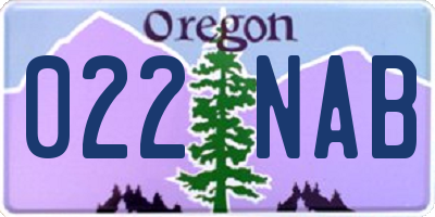 OR license plate 022NAB