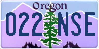 OR license plate 022NSE