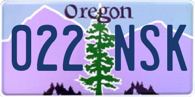 OR license plate 022NSK