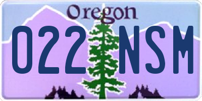 OR license plate 022NSM