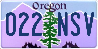 OR license plate 022NSV
