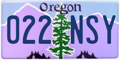 OR license plate 022NSY
