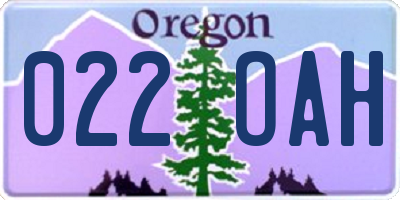 OR license plate 022OAH