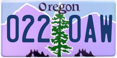 OR license plate 022OAW