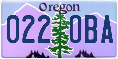 OR license plate 022OBA