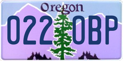 OR license plate 022OBP