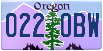 OR license plate 022OBW