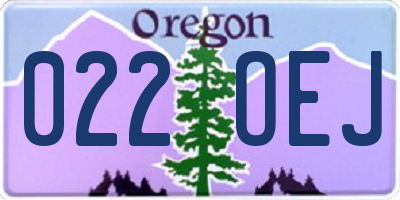 OR license plate 022OEJ