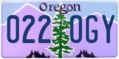 OR license plate 022OGY