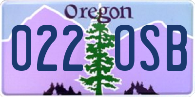 OR license plate 022OSB