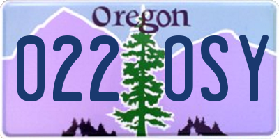 OR license plate 022OSY
