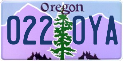 OR license plate 022OYA
