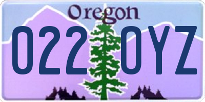 OR license plate 022OYZ