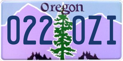 OR license plate 022OZI
