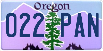 OR license plate 022PAN
