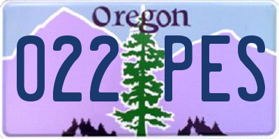 OR license plate 022PES