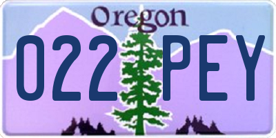 OR license plate 022PEY