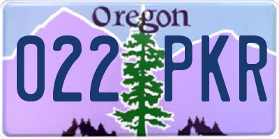 OR license plate 022PKR