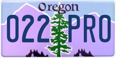 OR license plate 022PRO