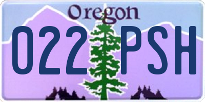OR license plate 022PSH