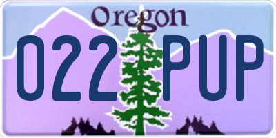 OR license plate 022PUP