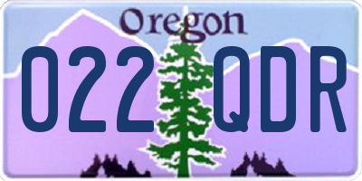 OR license plate 022QDR