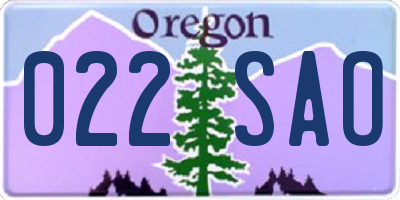 OR license plate 022SAO