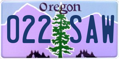 OR license plate 022SAW