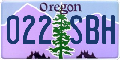 OR license plate 022SBH