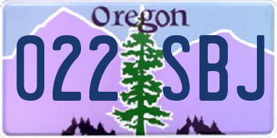 OR license plate 022SBJ