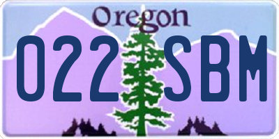 OR license plate 022SBM
