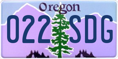 OR license plate 022SDG