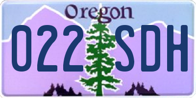OR license plate 022SDH