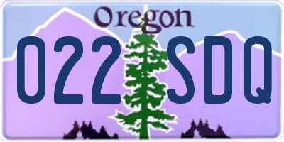 OR license plate 022SDQ