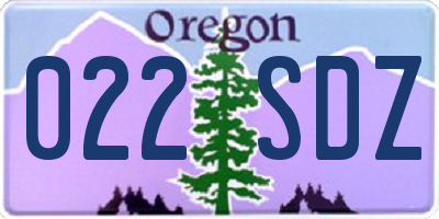 OR license plate 022SDZ