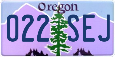OR license plate 022SEJ
