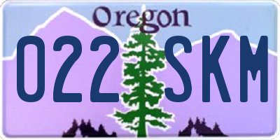 OR license plate 022SKM